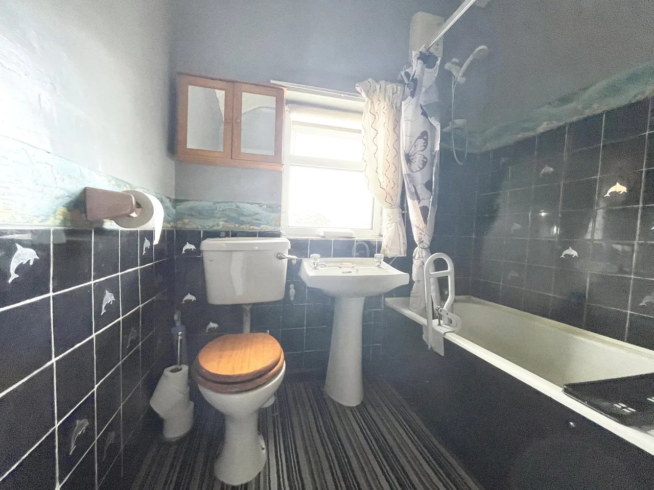 Dinas, Caernarfon, LL54, photo 22