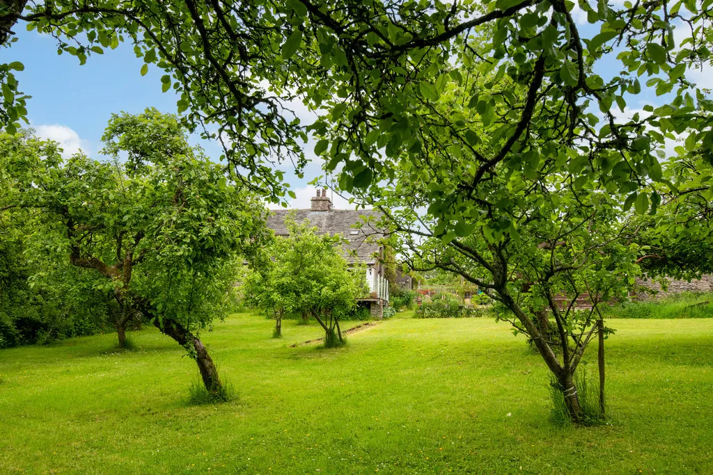 Wellheads Lane, Sedgwick, LA8, photo 45
