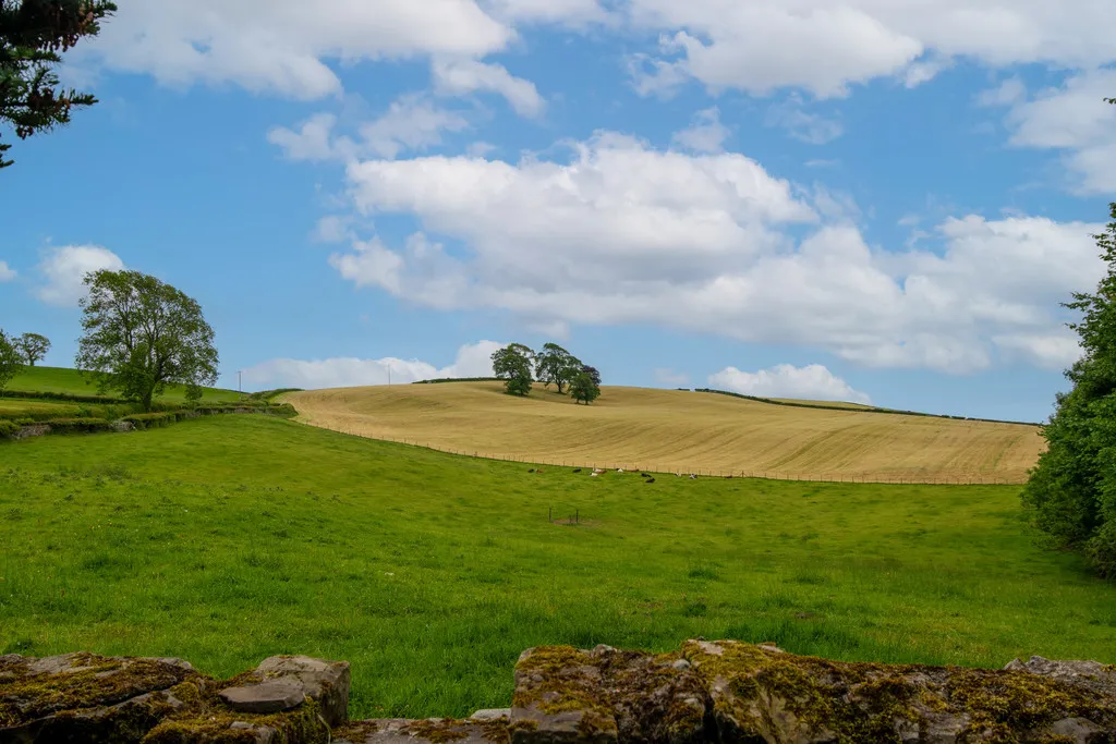 Wellheads Lane, Sedgwick, LA8, photo 46
