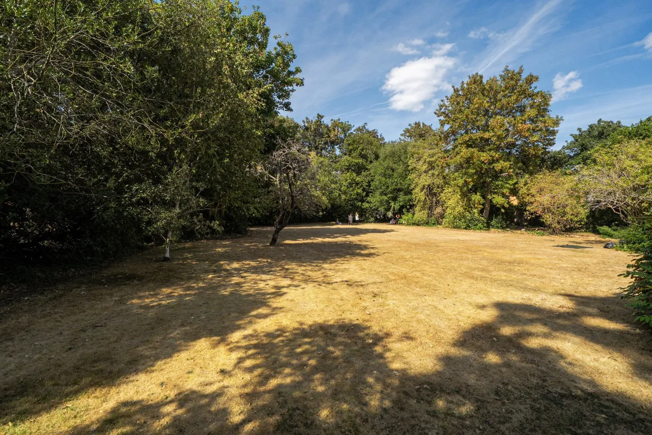 Blackheath Park, SE3, photo 10