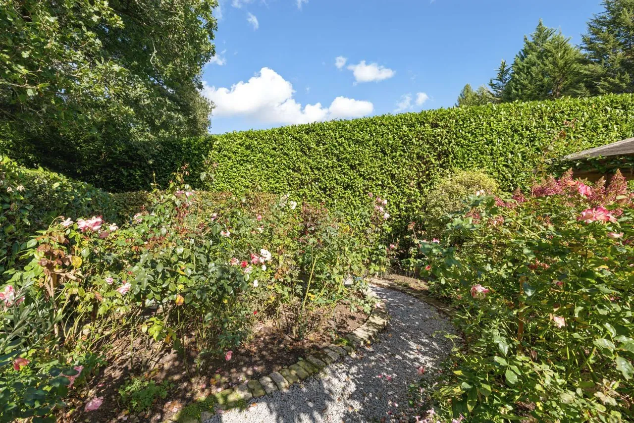 Highercombe Road, Haslemere, GU27, photo 27