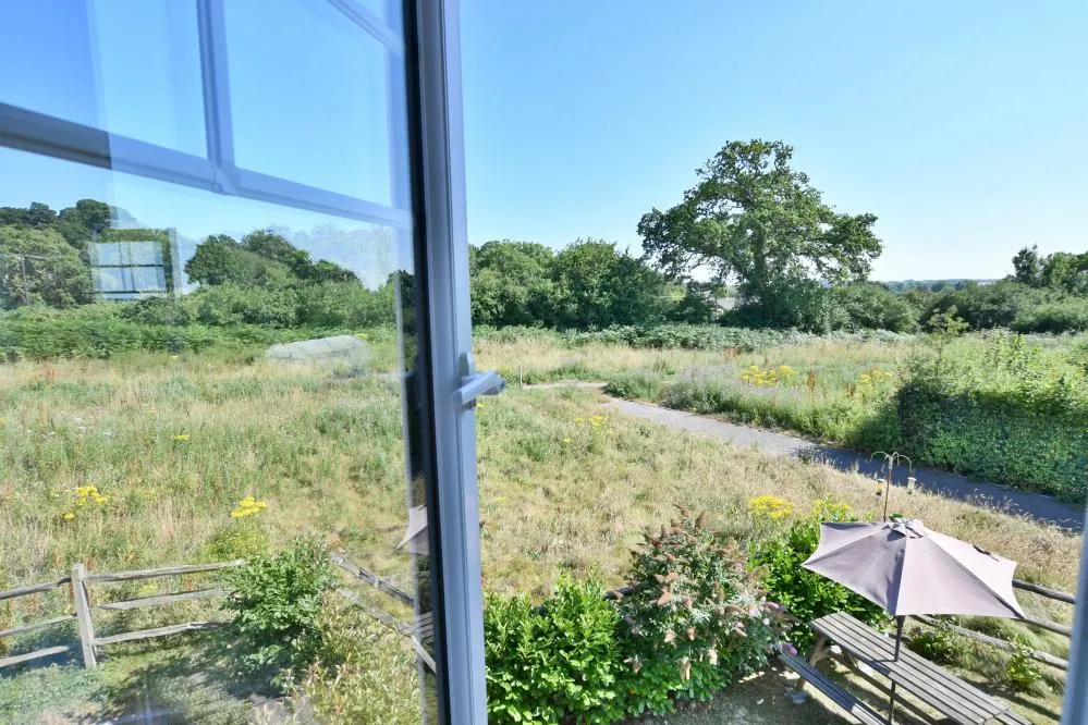 Campion Gardens, Wimborne, BH21, photo 15