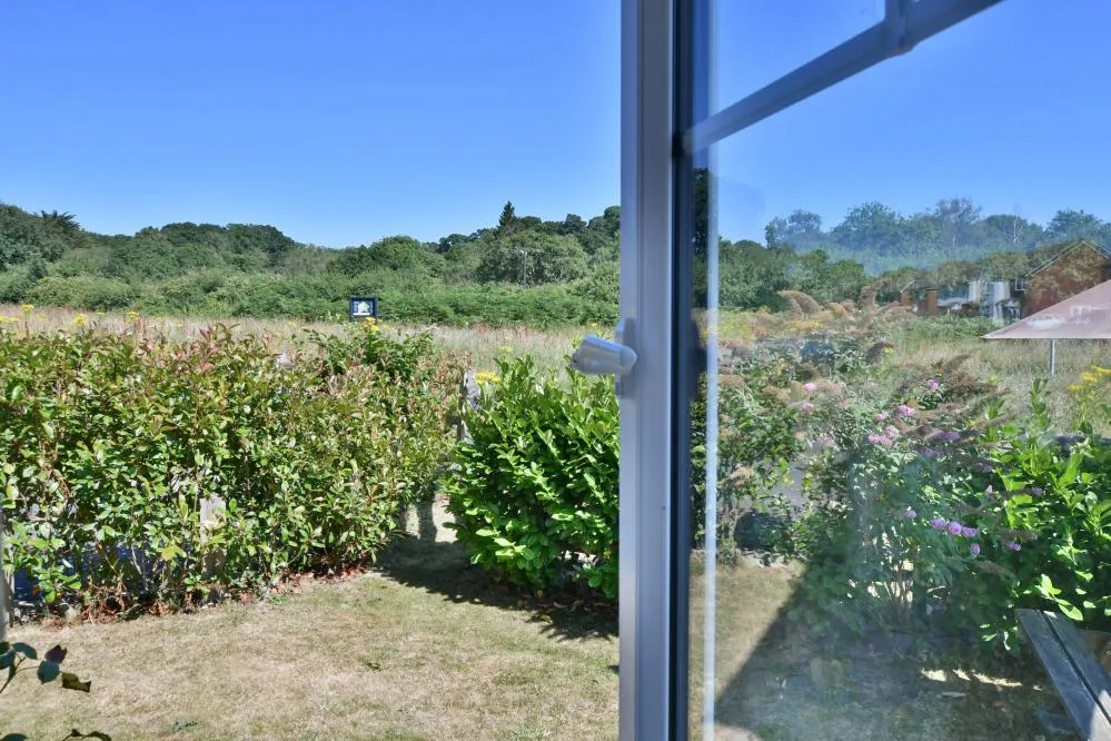 Campion Gardens, Wimborne, BH21, photo 16