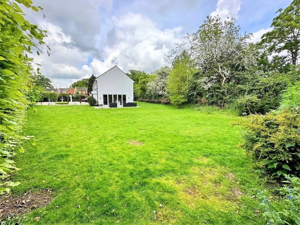 Grove Field, Braintree, photo 3