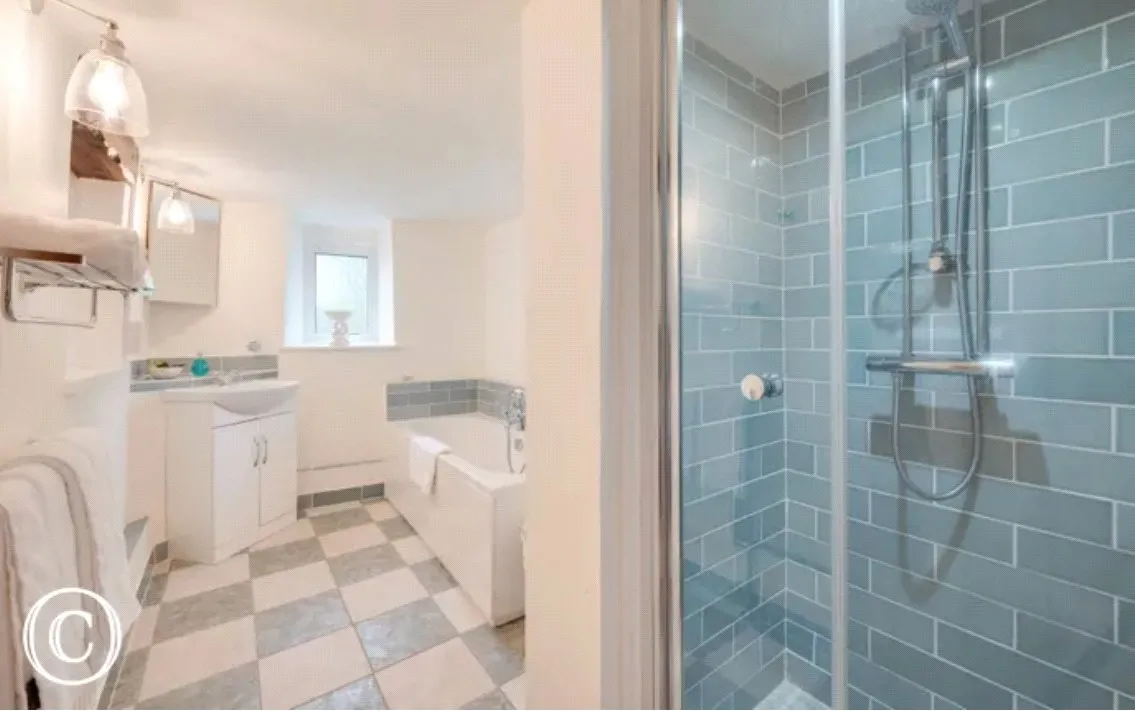 West Putford, Holsworthy, photo 47