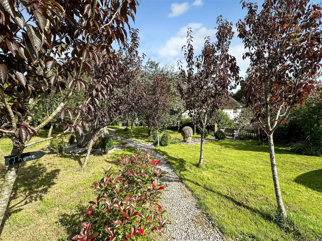 West Putford, Holsworthy, photo 31
