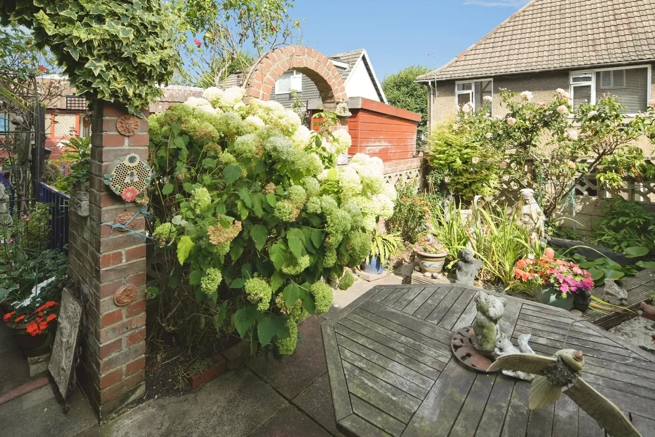 Elm Grove, Brighton, BN2, photo 16