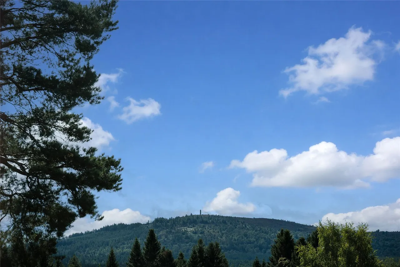 East Park, Inchmarlo, AB31, photo 23