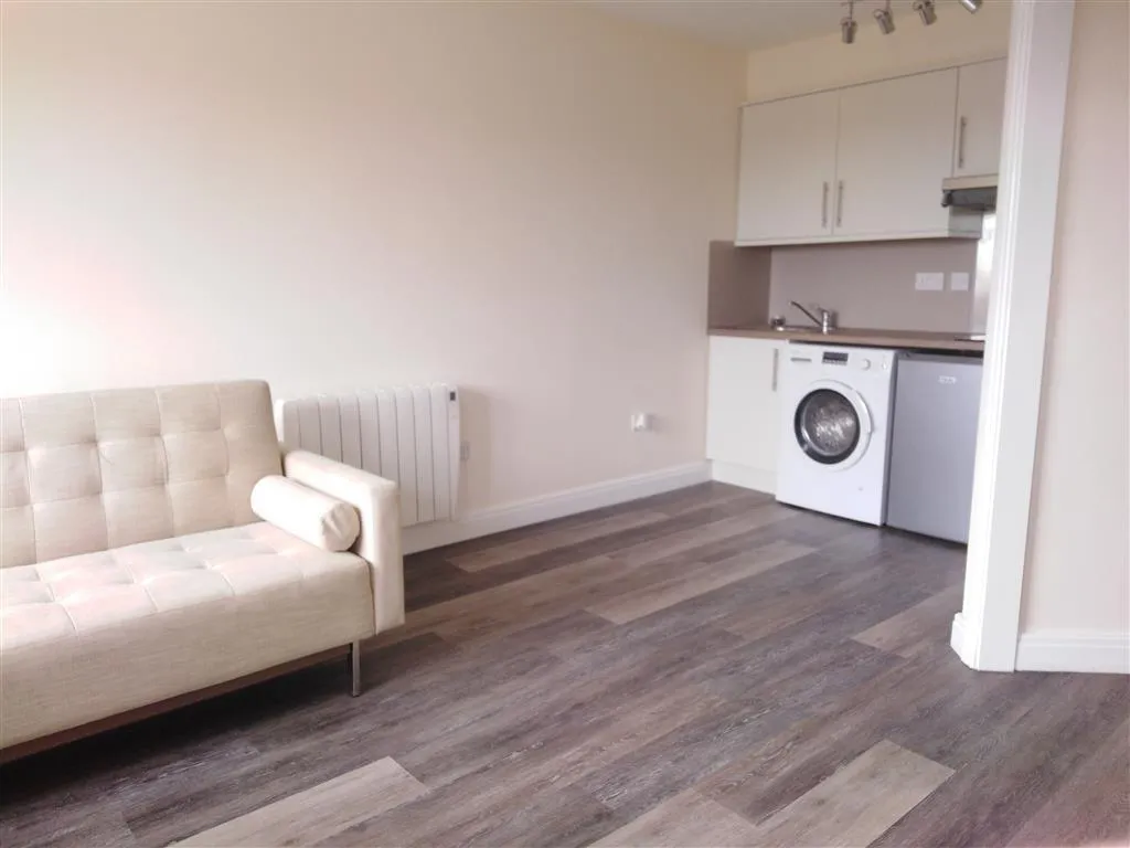 Wern Terrace, Swansea, SA1, photo 2
