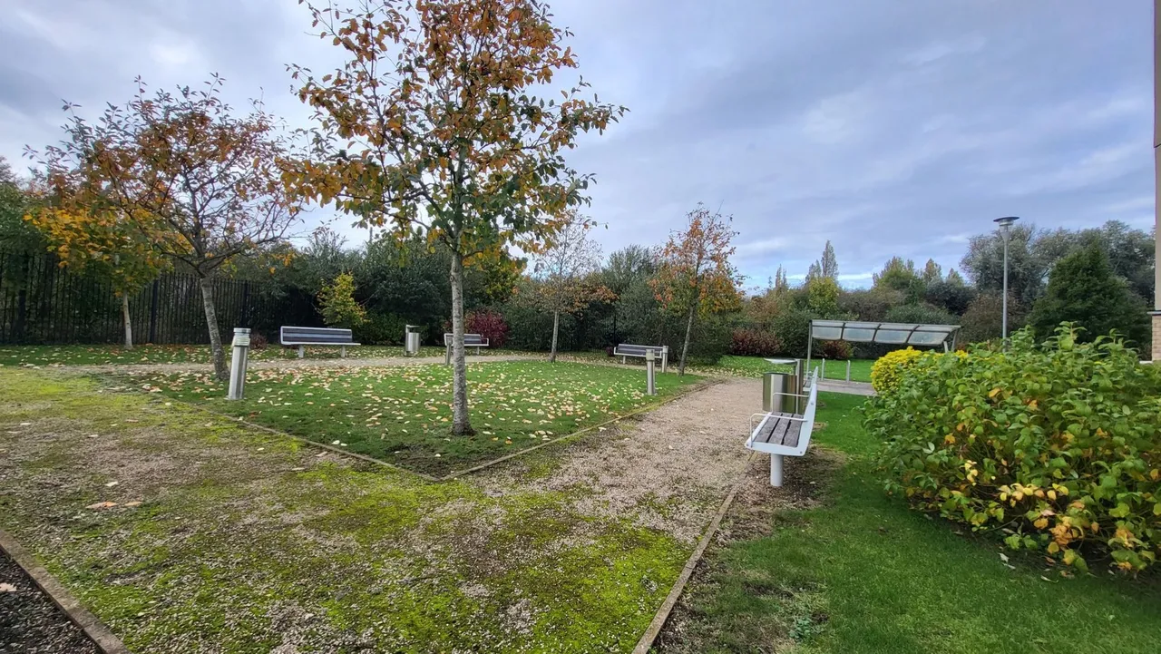 Hammonds Drive, Fengate, Peterborough, PE1, photo 15