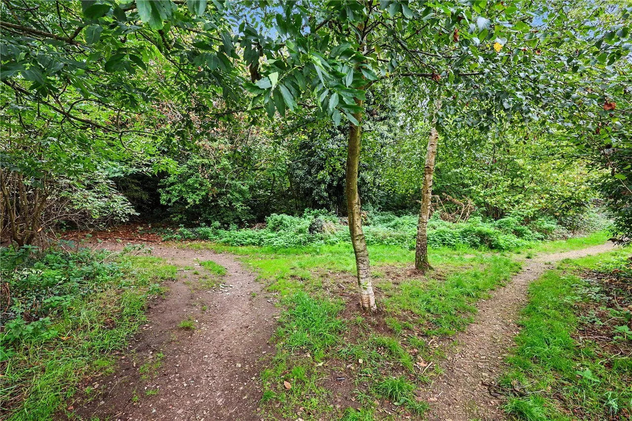 Norgate Way, Taverham, NR8, photo 18