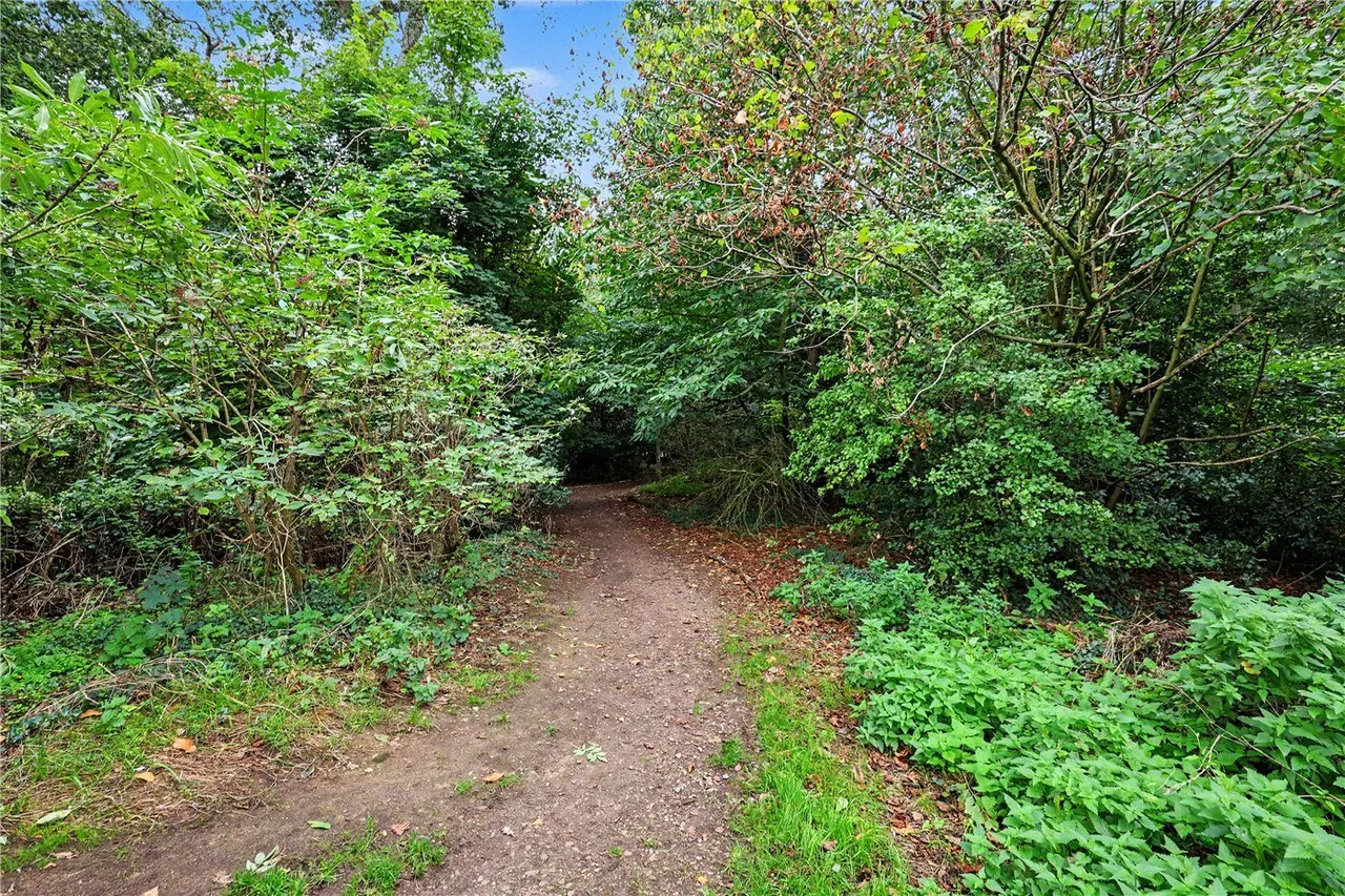 Norgate Way, Taverham, NR8, photo 19