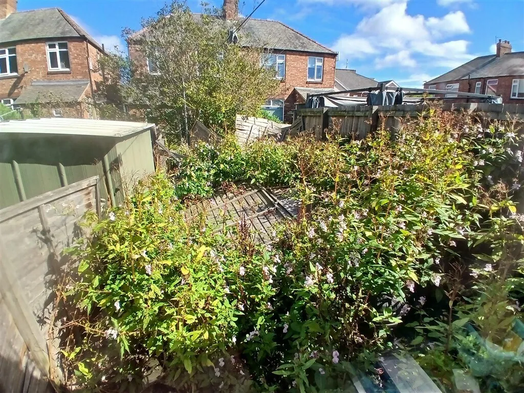 Lisle Street, WALLSEND, photo 11