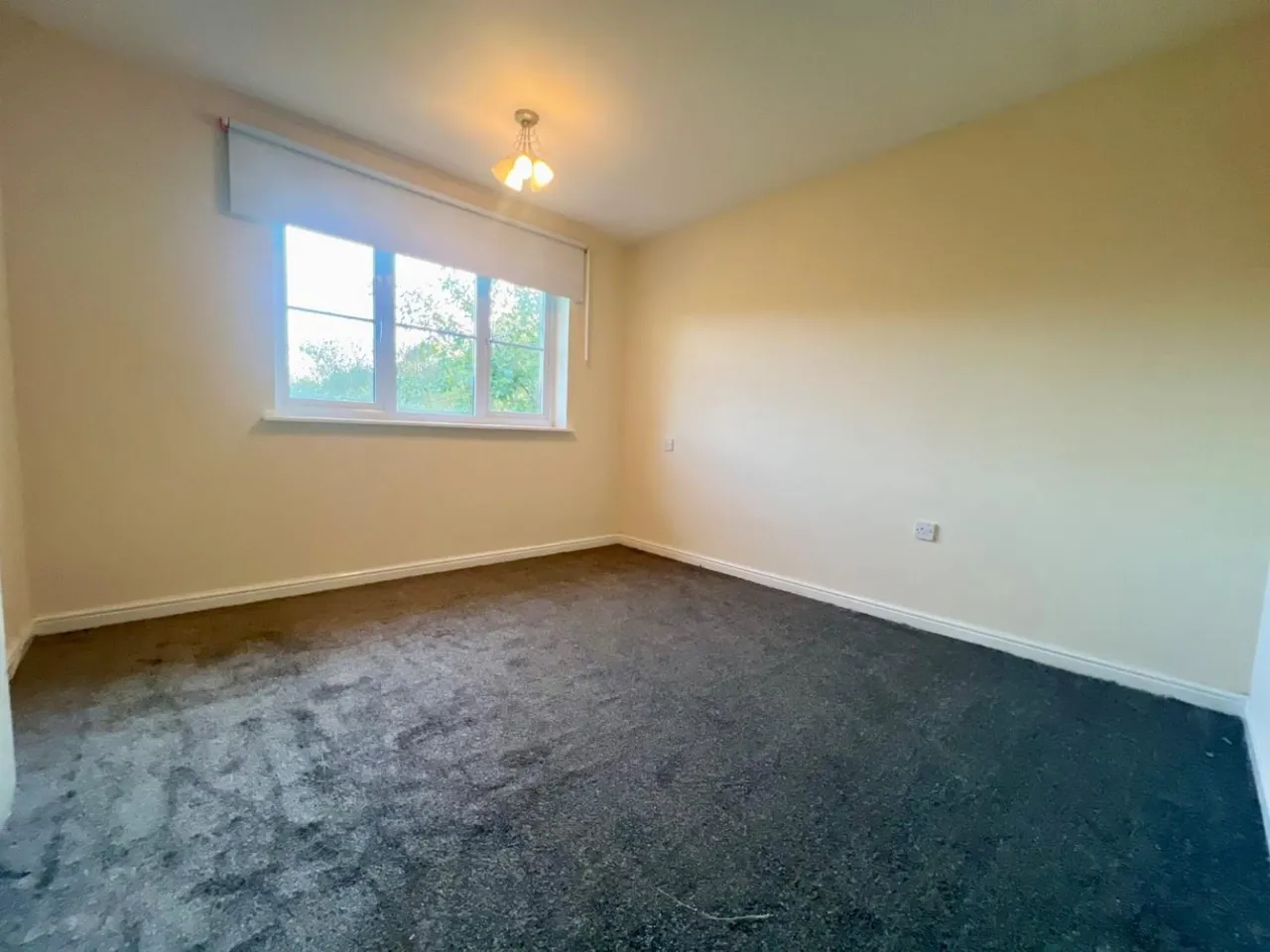 Longley Ings, Oxspring, S36, photo 5