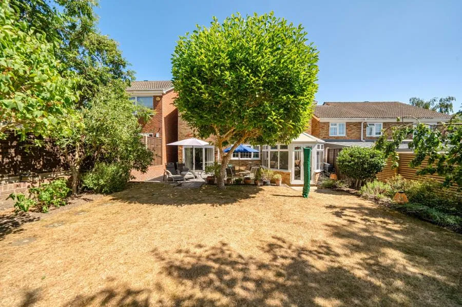 Birchwood Drive, Lightwater, GU18, photo 4