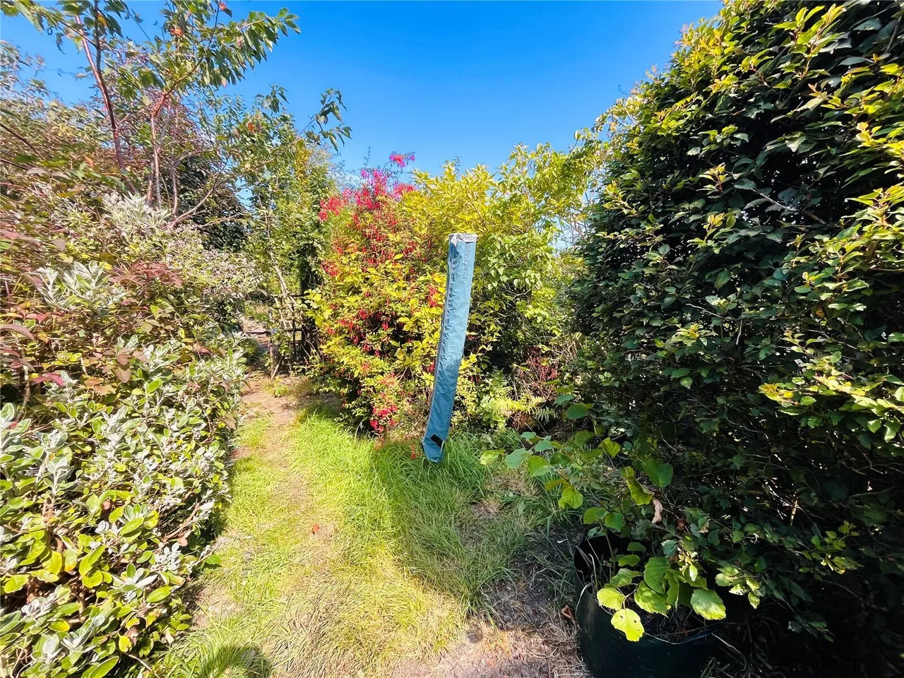 Belle Vue, Ffestiniog, LL41, photo 6