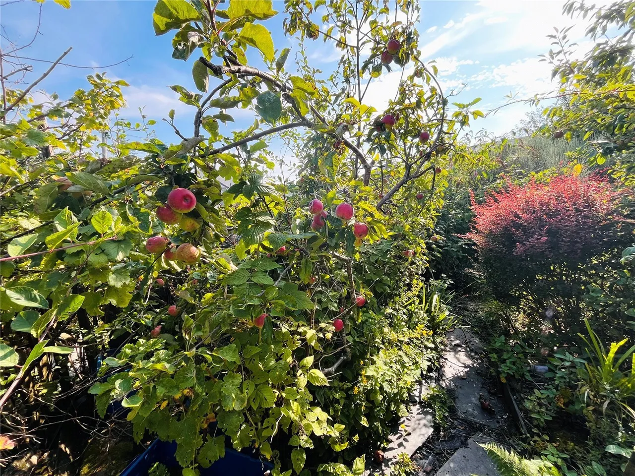 Belle Vue, Ffestiniog, LL41, photo 11