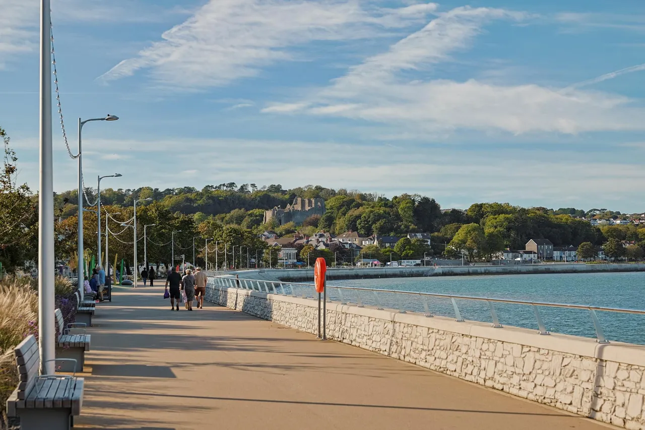 Mumbles Road, Mumbles, photo 23