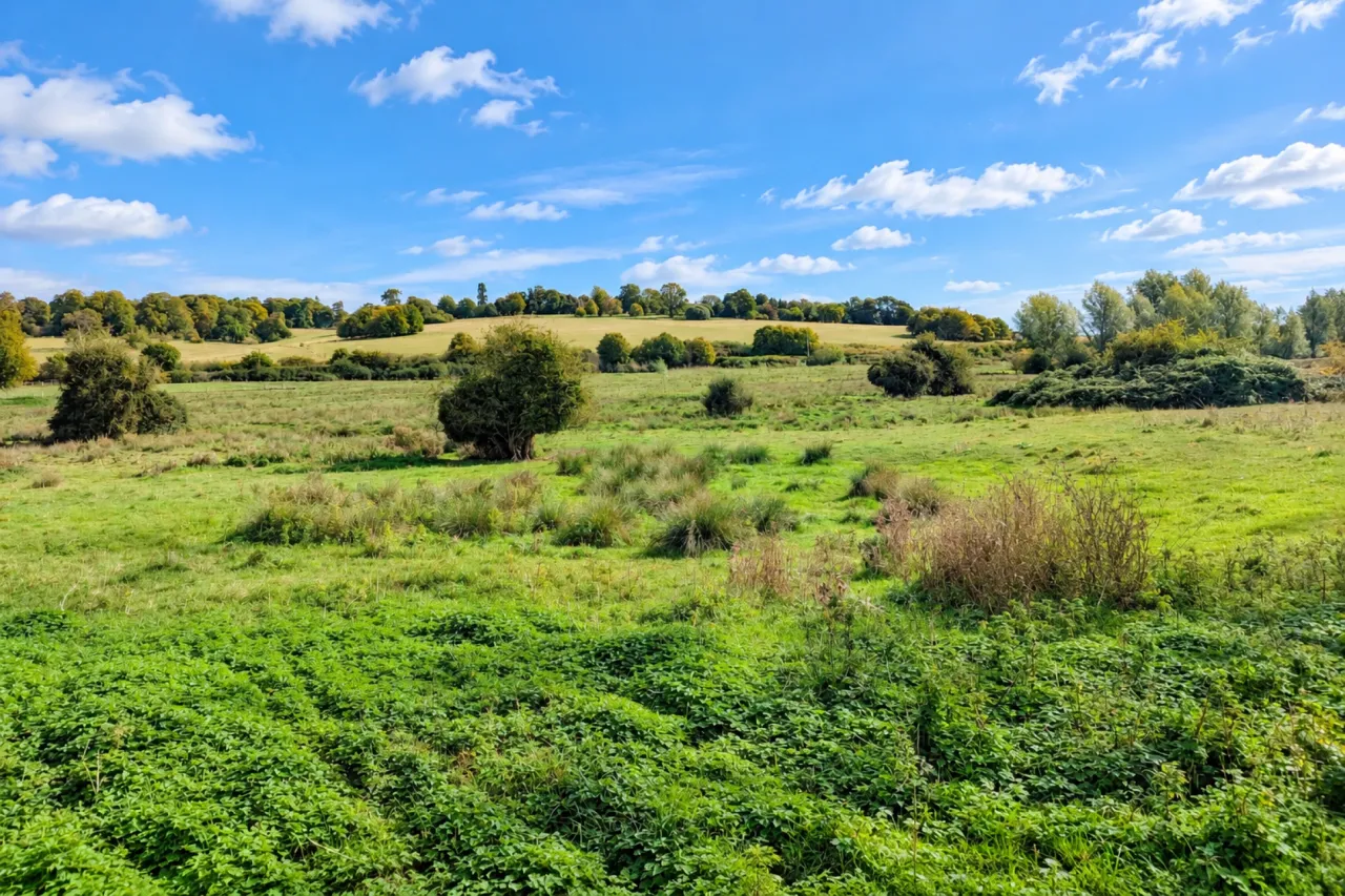 Pipers Hill, Hemel Hempstead, HP1, photo 21