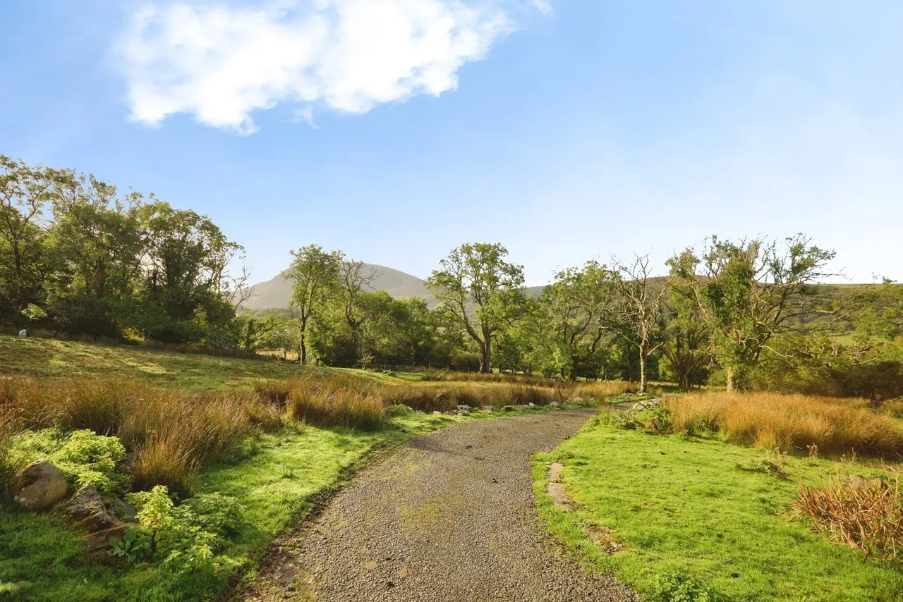 Waunfawr, Caernarfon, LL55, photo 22