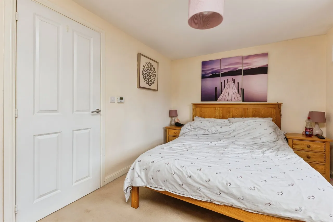 Mimosa Way, Paignton, TQ4, photo 19