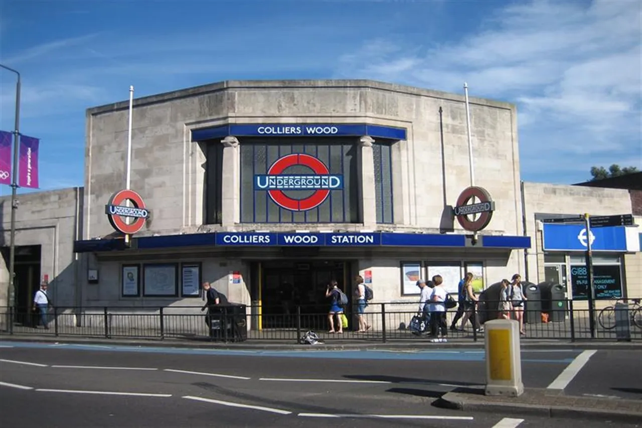 31 Chapter Way, London, SW19 2RP, photo 12