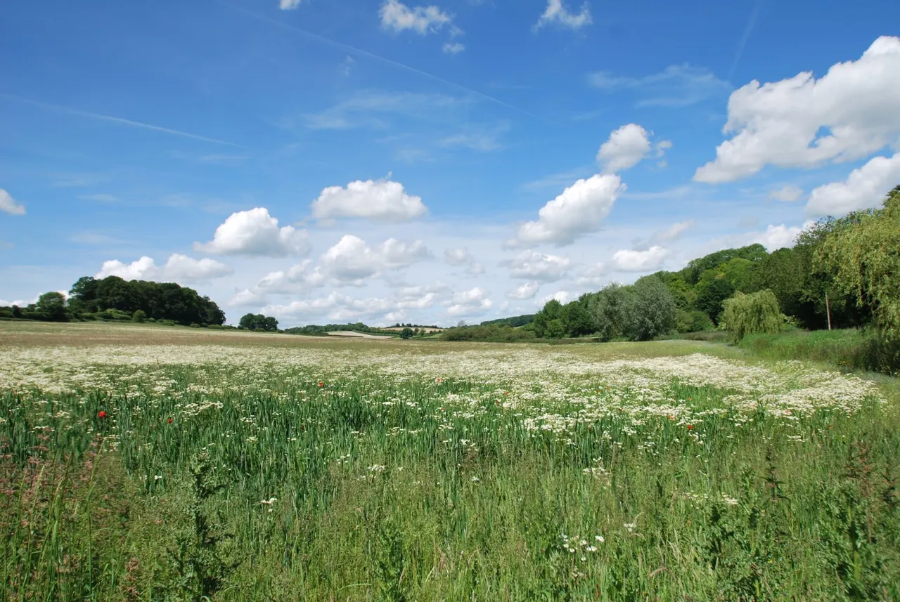 Chesham, Buckinghamshire, photo 13