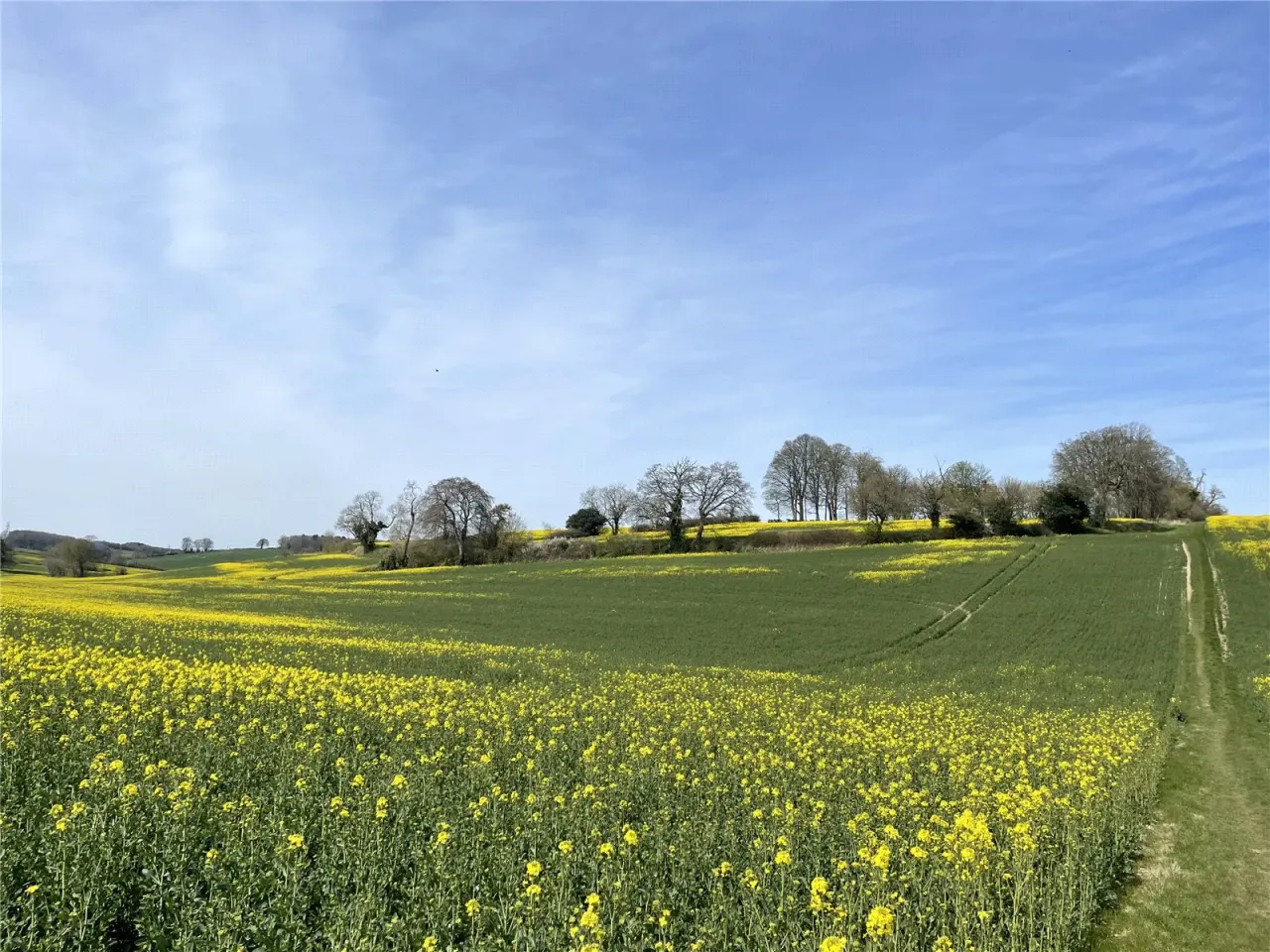 Common Road, Kensworth, LU6, photo 25