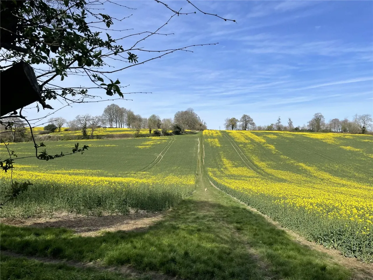Common Road, Kensworth, LU6, photo 26