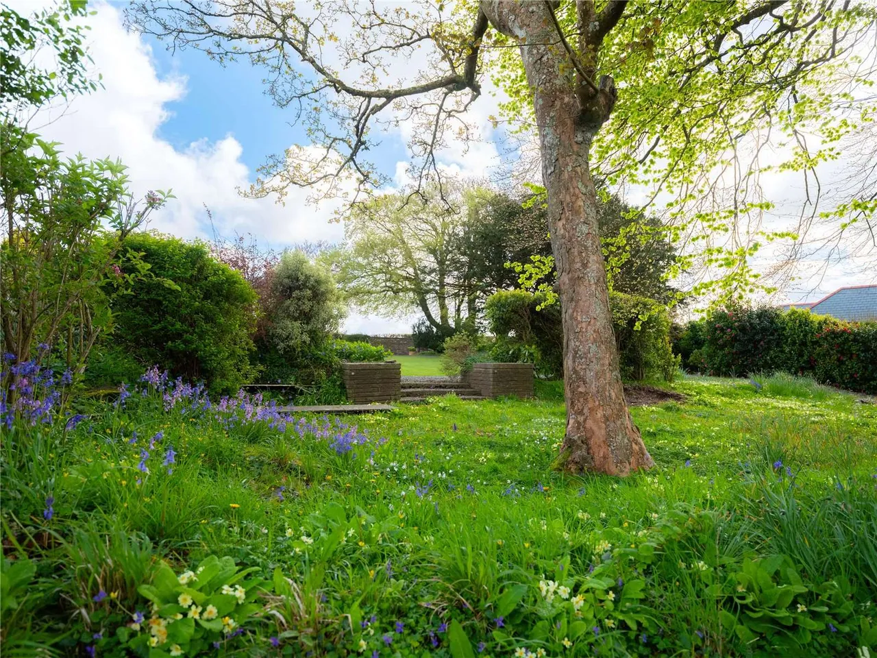 Boyton, Launceston, PL15, photo 17