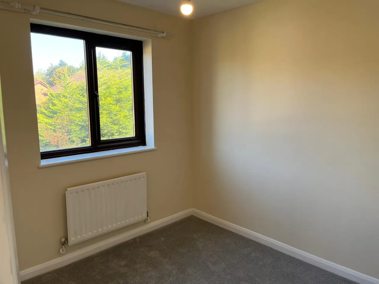 Fernwood Close, Wellington, TF1, photo 13