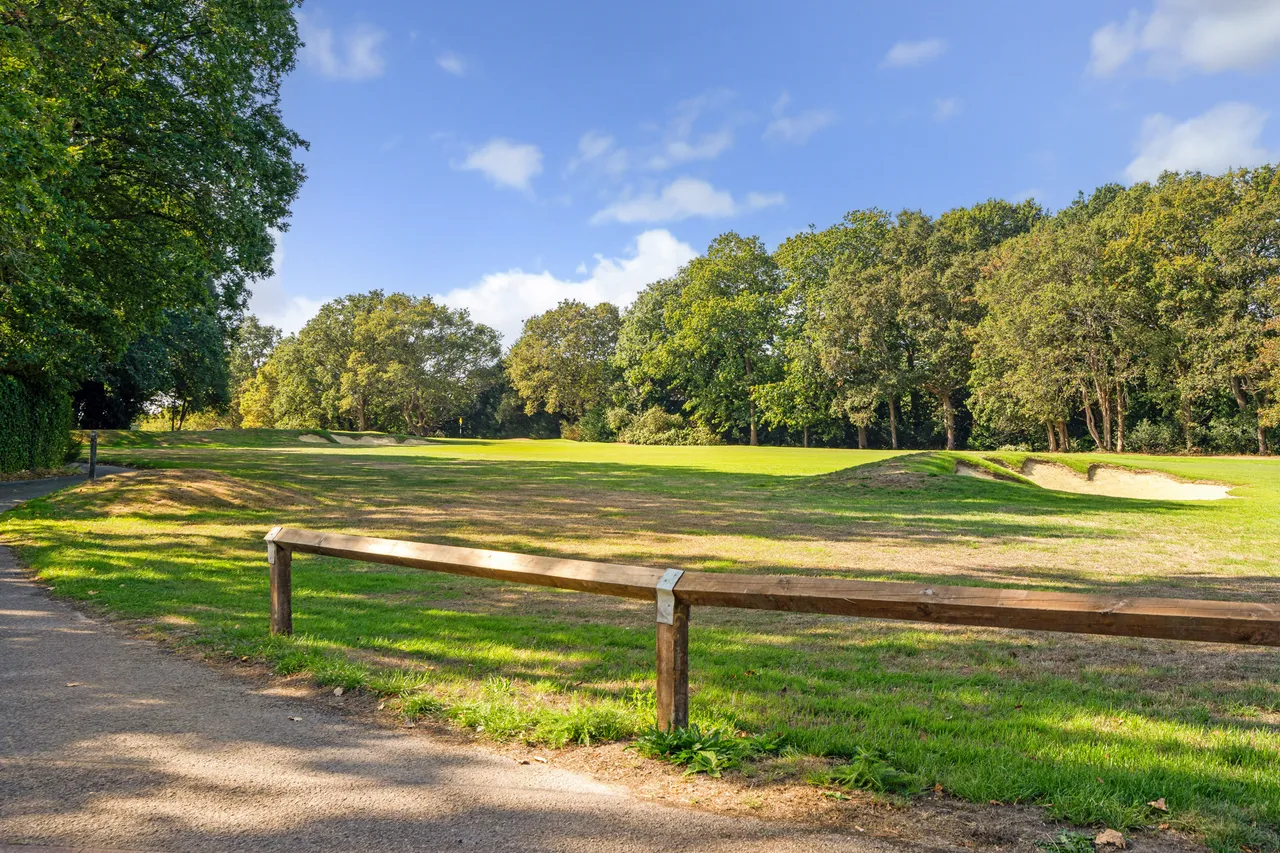 Firwood Road, Virginia Water, GU25, photo 9