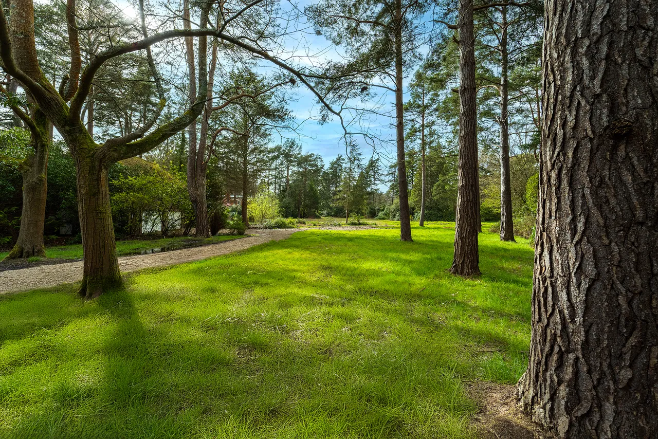 Firwood Road, Virginia Water, GU25, photo 8