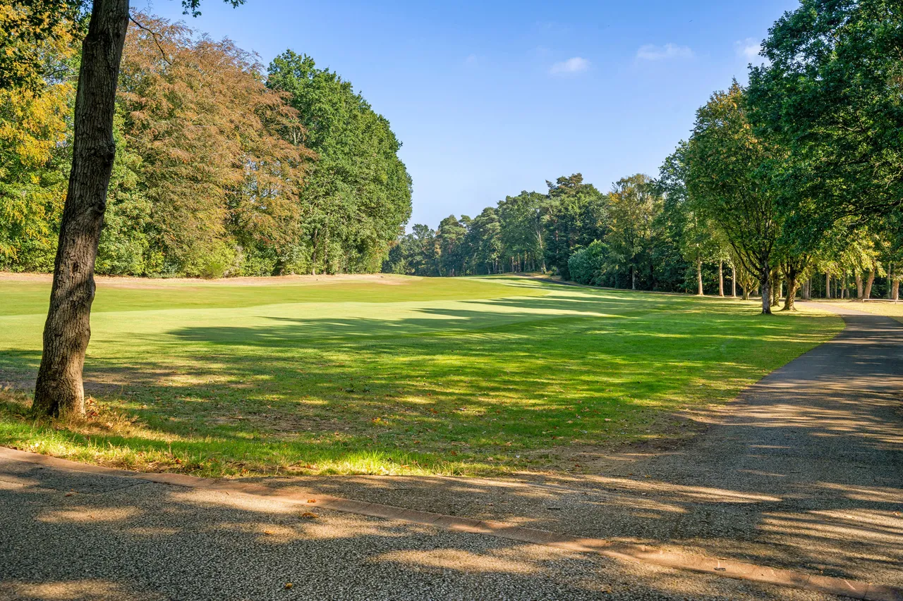 Firwood Road, Virginia Water, GU25, photo 10