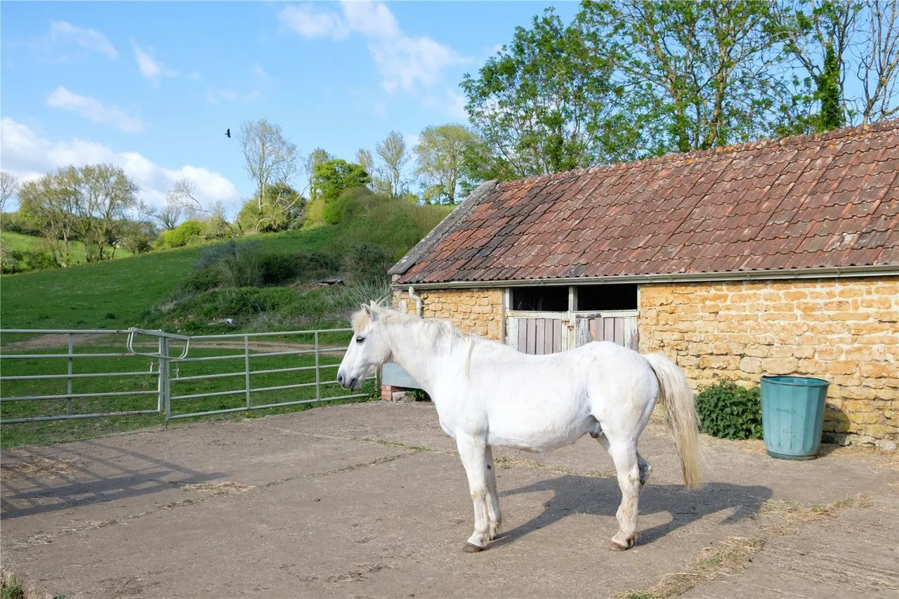 Powerstock, Bridport, DT6, photo 53