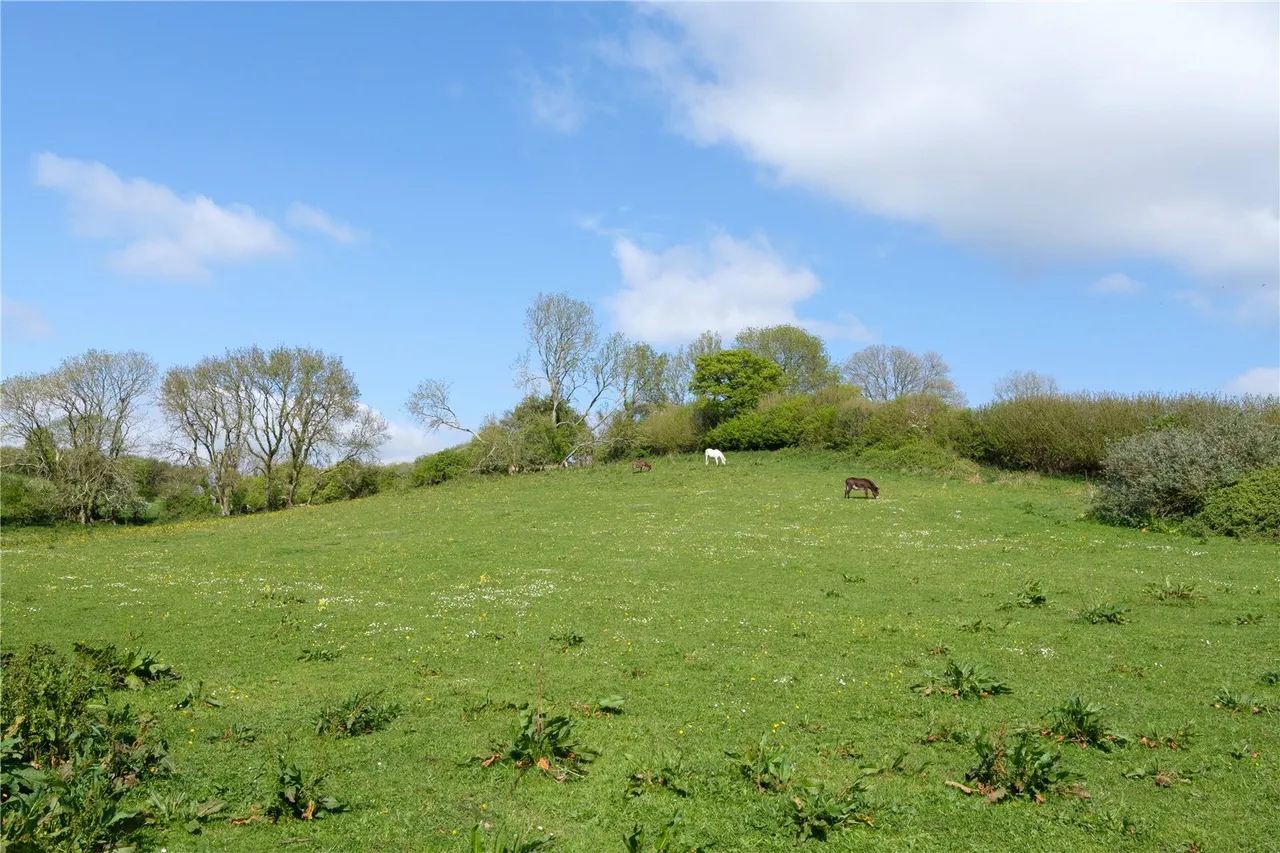 Powerstock, Bridport, DT6, photo 54