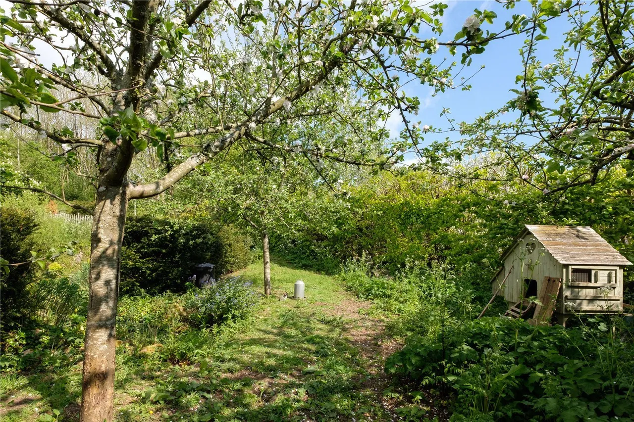Powerstock, Bridport, DT6, photo 56
