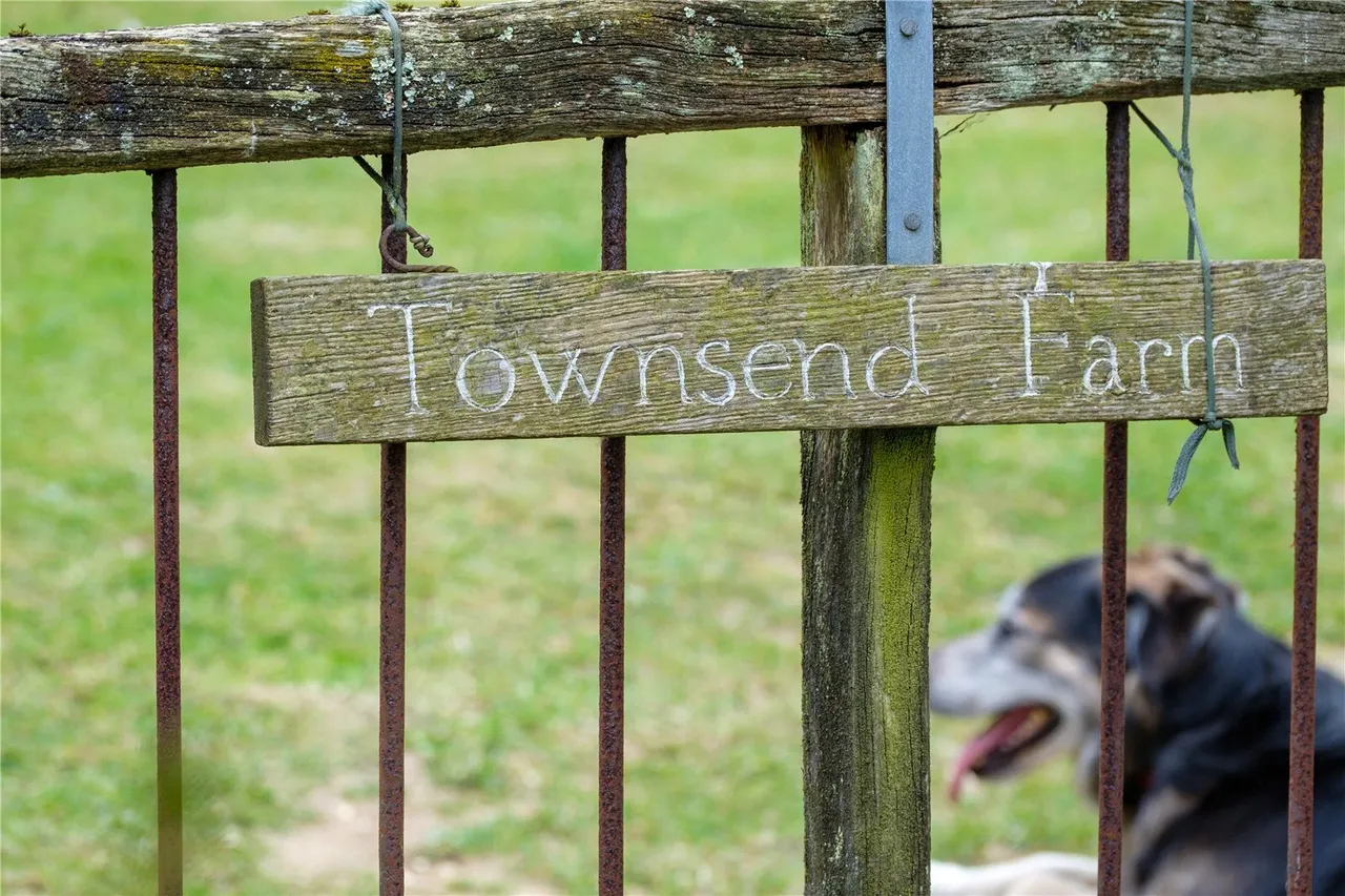 Powerstock, Bridport, DT6, photo 45