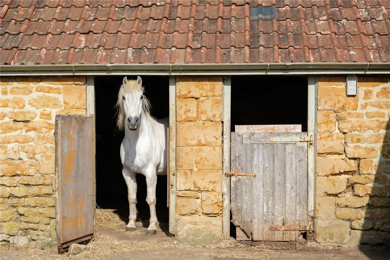 Powerstock, Bridport, DT6, photo 52