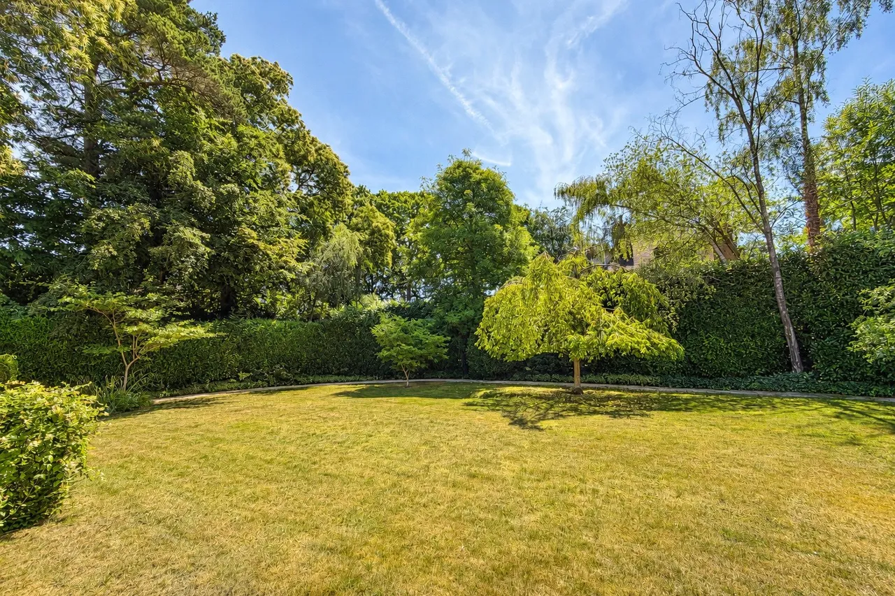 Wood Road, Hindhead, GU26, photo 10