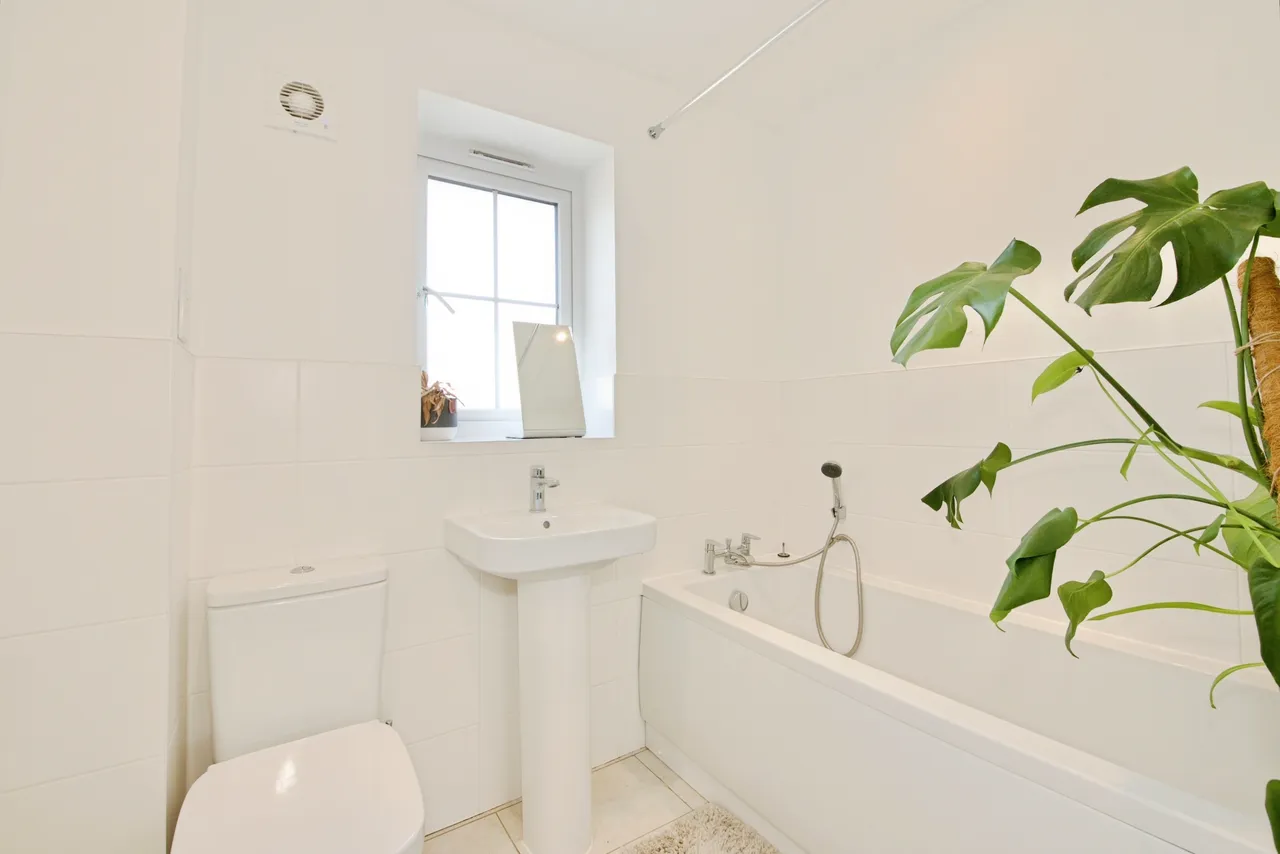 Silver Birch Close, Waltham Cross, EN7, photo 19