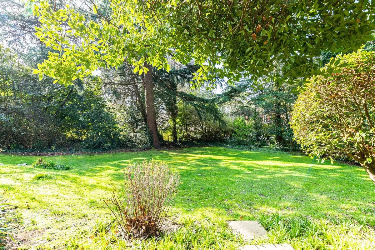 Bodorgan Road, Bournemouth, BH2, photo 18