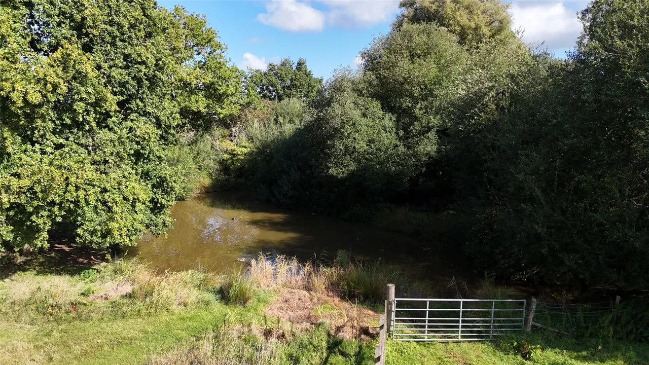 Sandy Lane, Romsey, Hampshire, SO51 0PD, photo 27