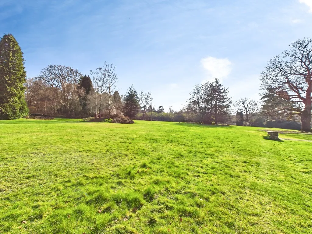 Forest Road, Colgate, photo 16