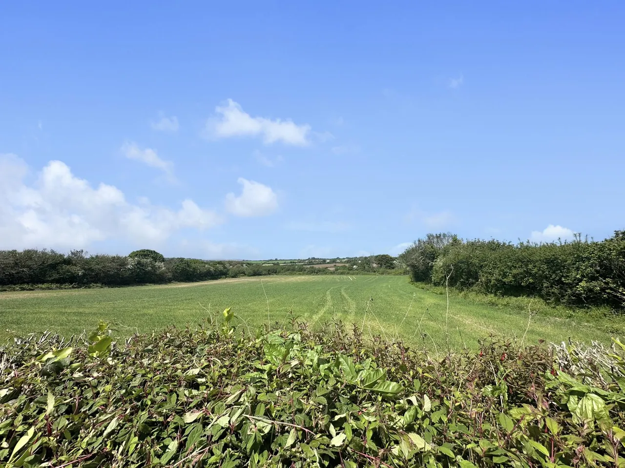 Relistian Park, Hayle, TR27, photo 26