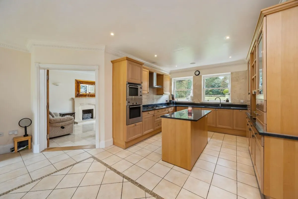 Pachesham Park, Leatherhead, KT22, photo 6