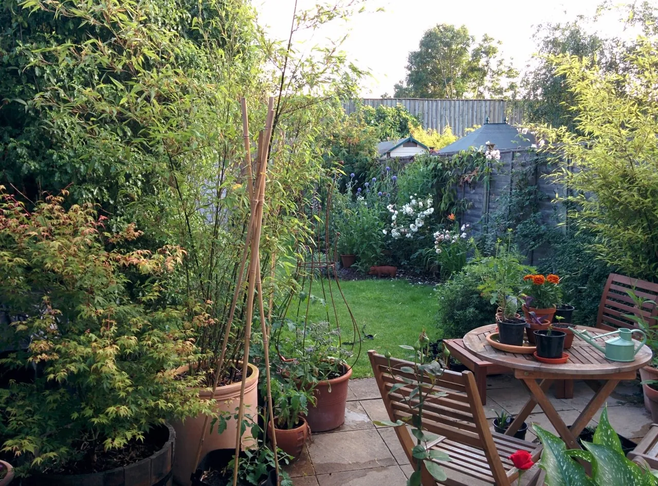 Bromley Gardens, BR2, photo 21