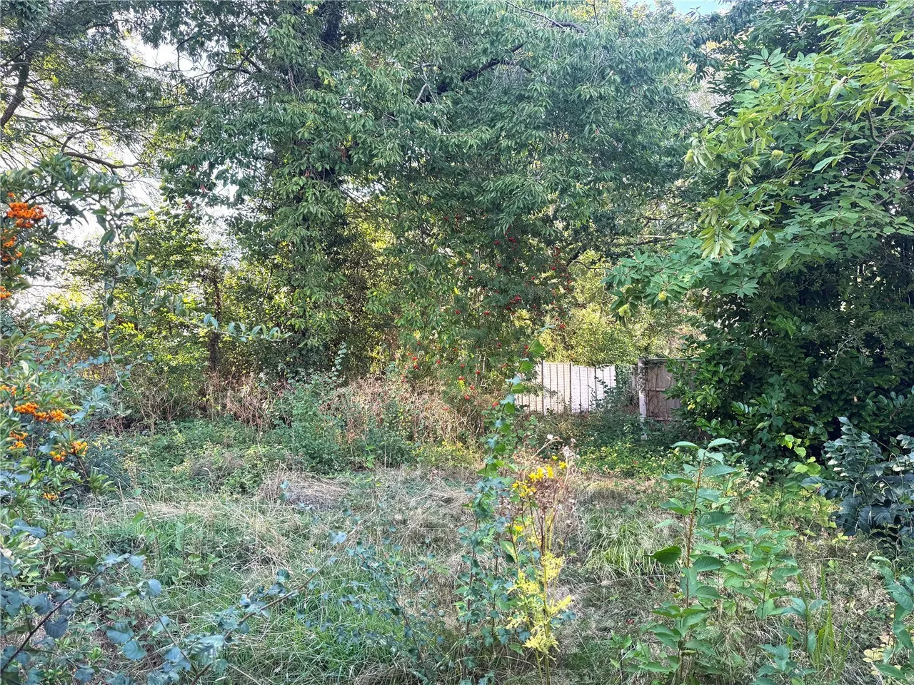 Fern Road, Southampton, SO45, photo 12