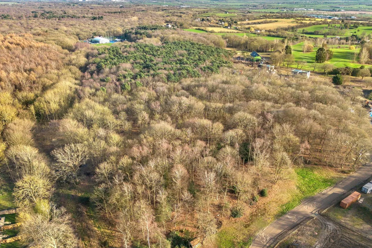 Little Warley, Brentwood, CM13, photo 31