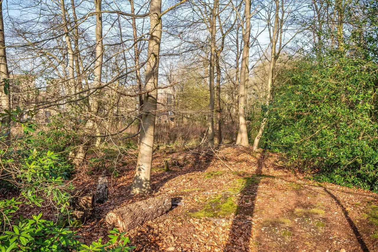 Little Warley, Brentwood, CM13, photo 33